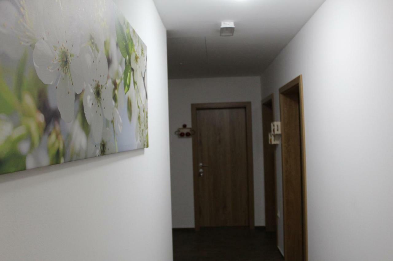 Vdovic Guest House Svecina Exterior photo