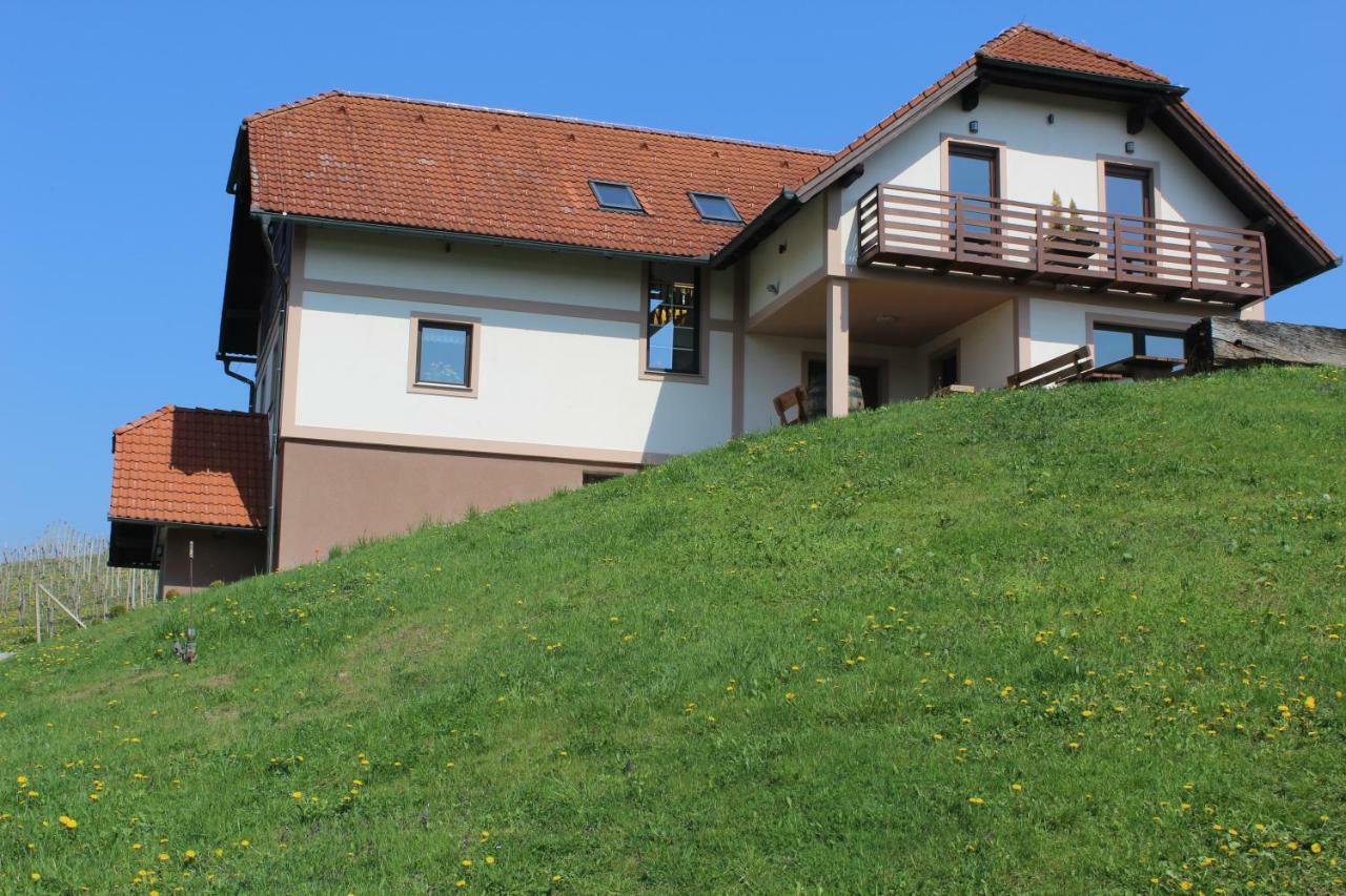 Vdovic Guest House Svecina Exterior photo